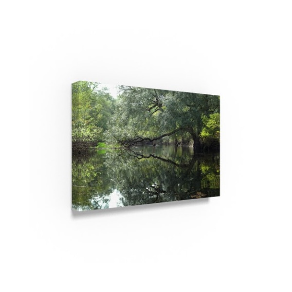 Robert Michaud 'Reflections' Canvas Art,22x32